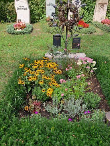 Grabstätte mit Mehrjährigen Stauden